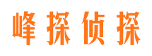 凉城私家调查公司